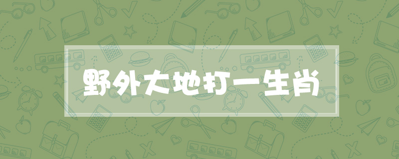 野外大地打一生肖