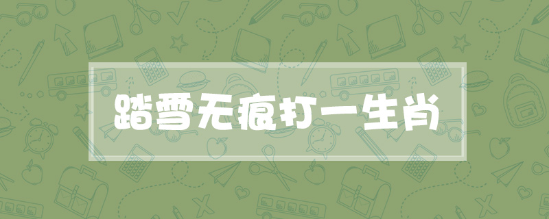 踏雪无痕打一生肖