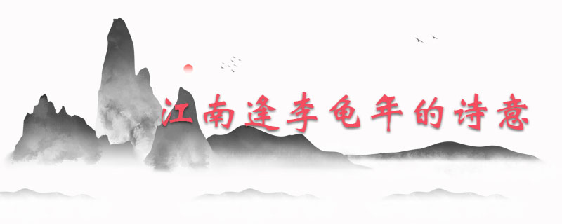 江南逢李龟年的诗意