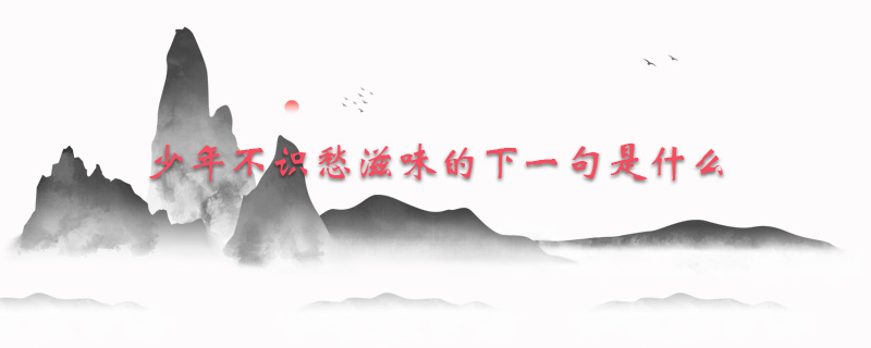 少年不识愁滋味的下一句是什么