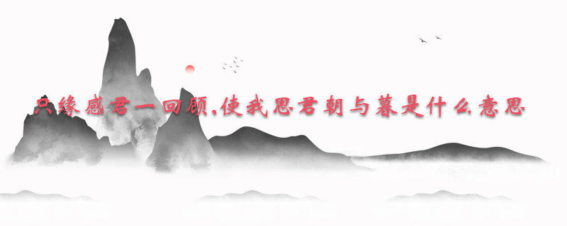 只缘感君一回顾,使我思君朝与暮是什么意思