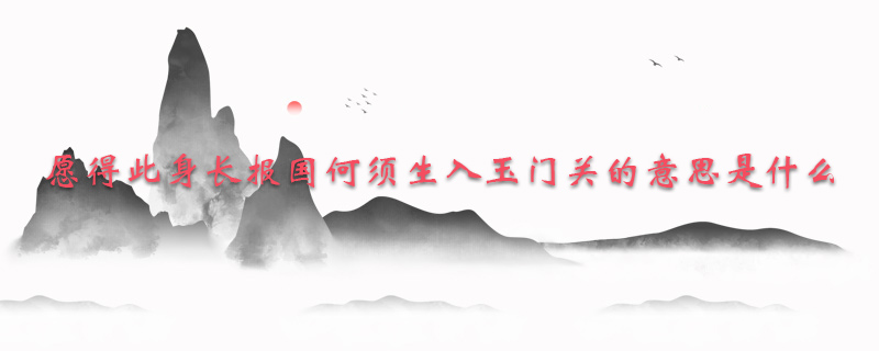 愿得此身长报国何须生入玉门关的意思是什么