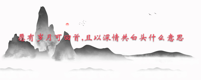 愿有岁月可回首,且以深情共白头什么意思