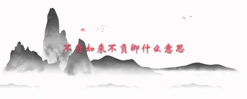 不负如来不负卿什么意思