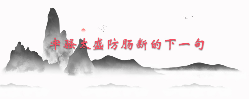 牢骚太盛防肠断的下一句