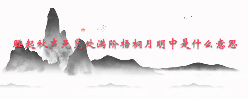 睡起秋声无觅处满阶梧桐月明中是什么意思