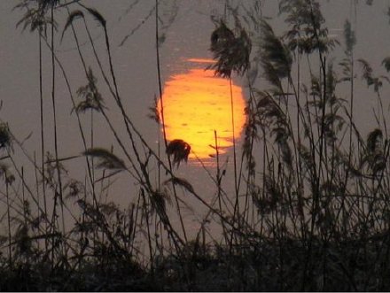 陈子龙的诗有那些