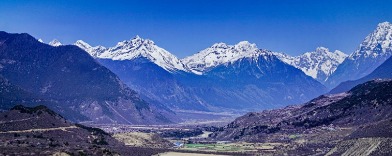 清朝管理西藏的机构是什么