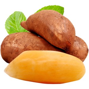 雪莲果可以吃吗，有什么作用功效