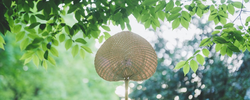 夏天到来是立夏还是夏至