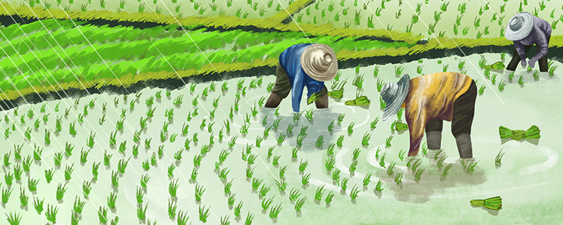 古代24节气是哪些