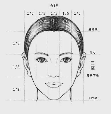 三庭五眼的比例是多少