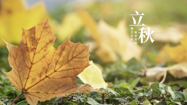 立秋时吃什么食物