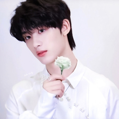 丁程鑫参加过哪些节目