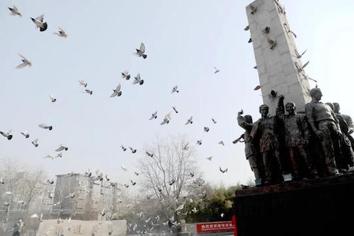 国际和平城市是哪一个