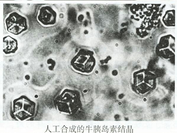 1965年8月3日 我国首次人工合成了牛胰岛素结晶