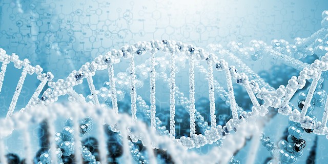 1993年9月28日 中国人类基因组研究启动