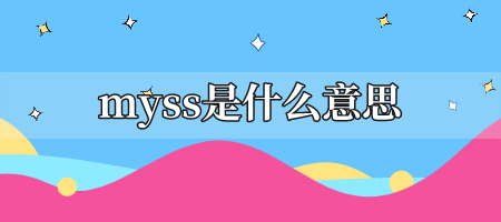 myss是什么意思的缩写