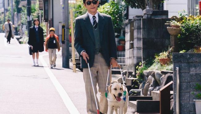 导盲犬是什么狗