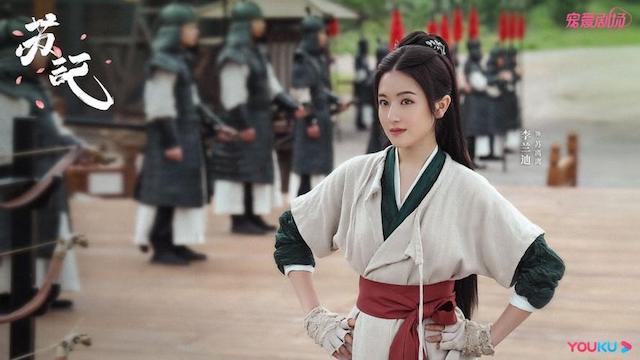 电视剧苏记的小说原著是什么