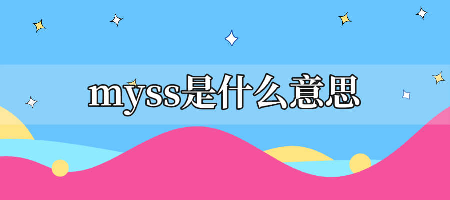 myss是什么意思的缩写