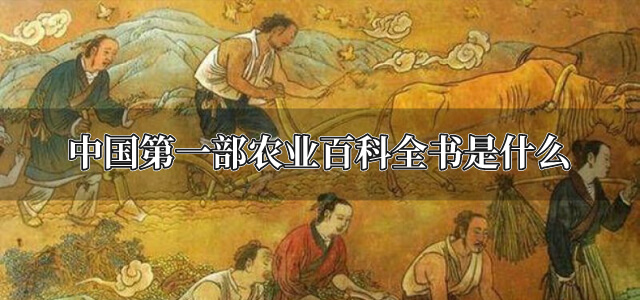 中国第一部农业百科全书是什么