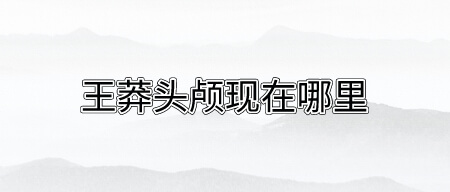 王莽头颅现在哪里