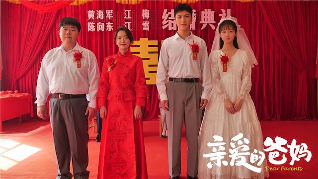 亲爱的爸妈江梅最后和谁结婚了