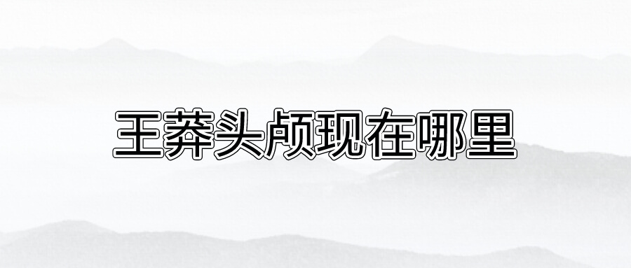 王莽头颅现在哪里