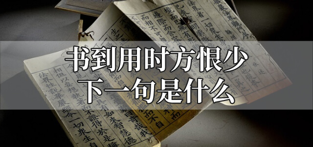 书到用时方恨少下一句是什么