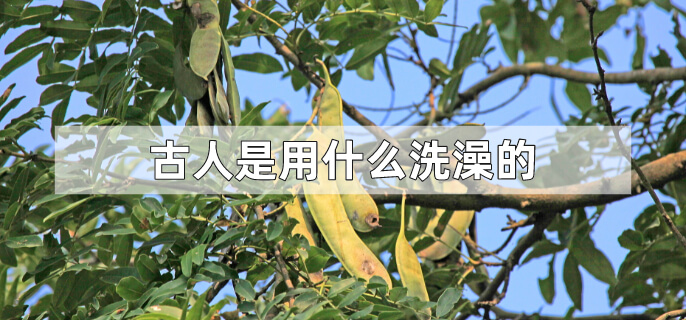 古人是用什么洗澡的