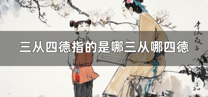 三从四德指的是哪三从哪四德