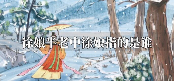 徐娘半老中徐娘指的是谁