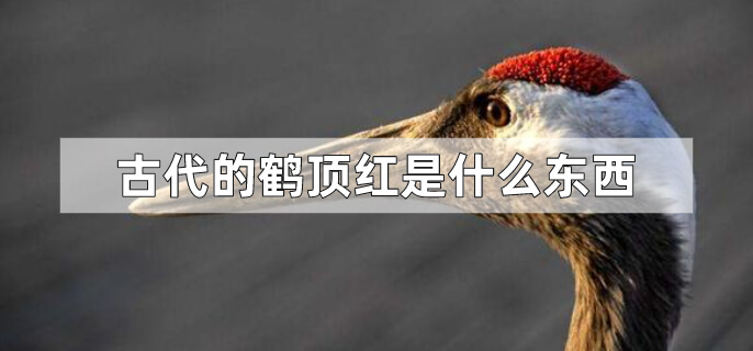 古代的鹤顶红是什么东西