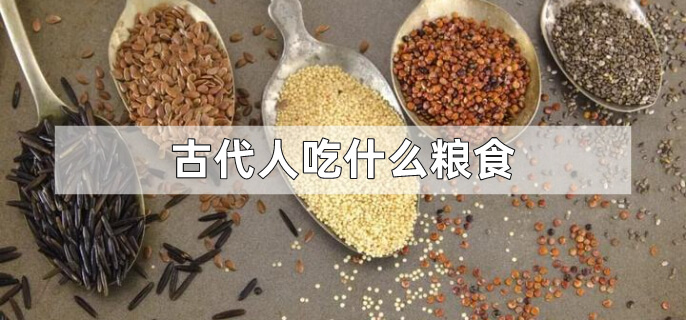 古代人吃什么粮食
